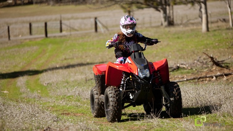 Polaris Trail Blazer 330