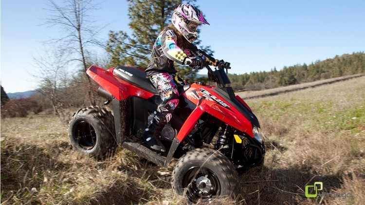 Polaris Trail Blazer 330